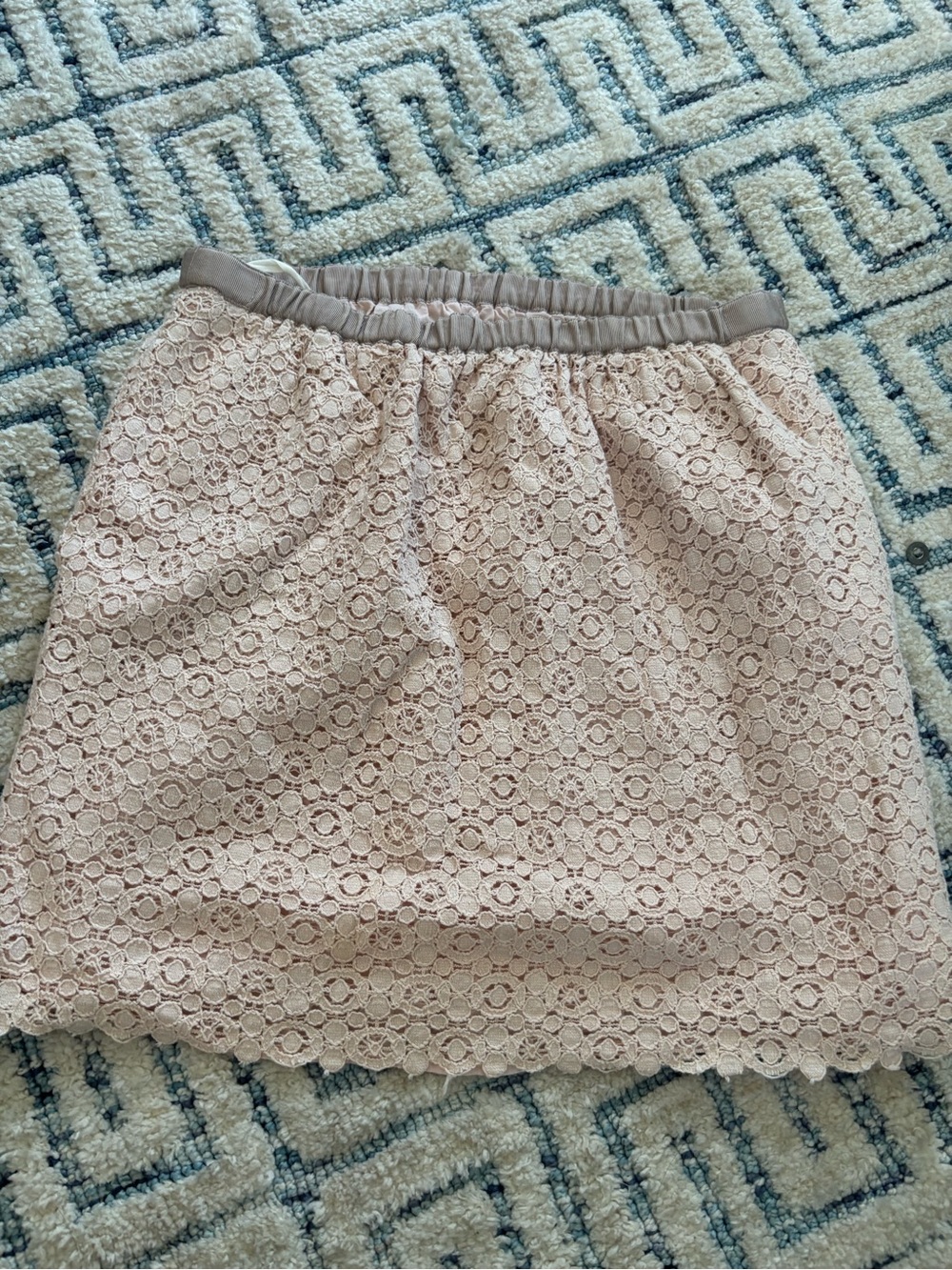 J. Crew Pale Blush Lace-Trim Skirt